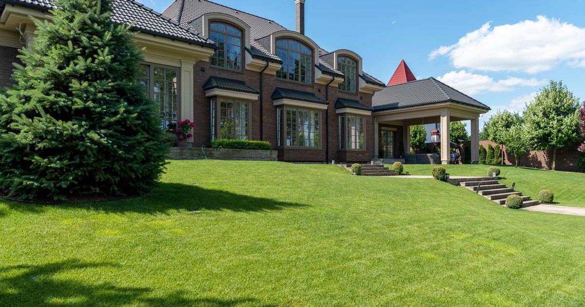 Maye Enterprise Lawn Care work in New Port Richey