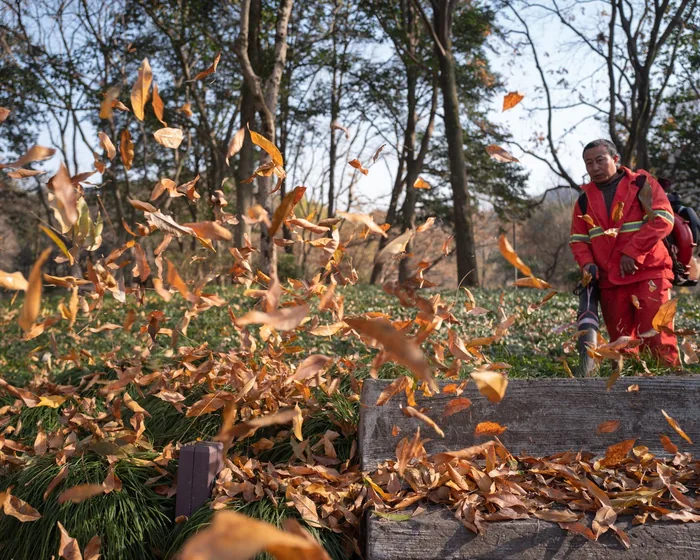 Seasonal Cleanup by Maye Enterprise Lawn Care
